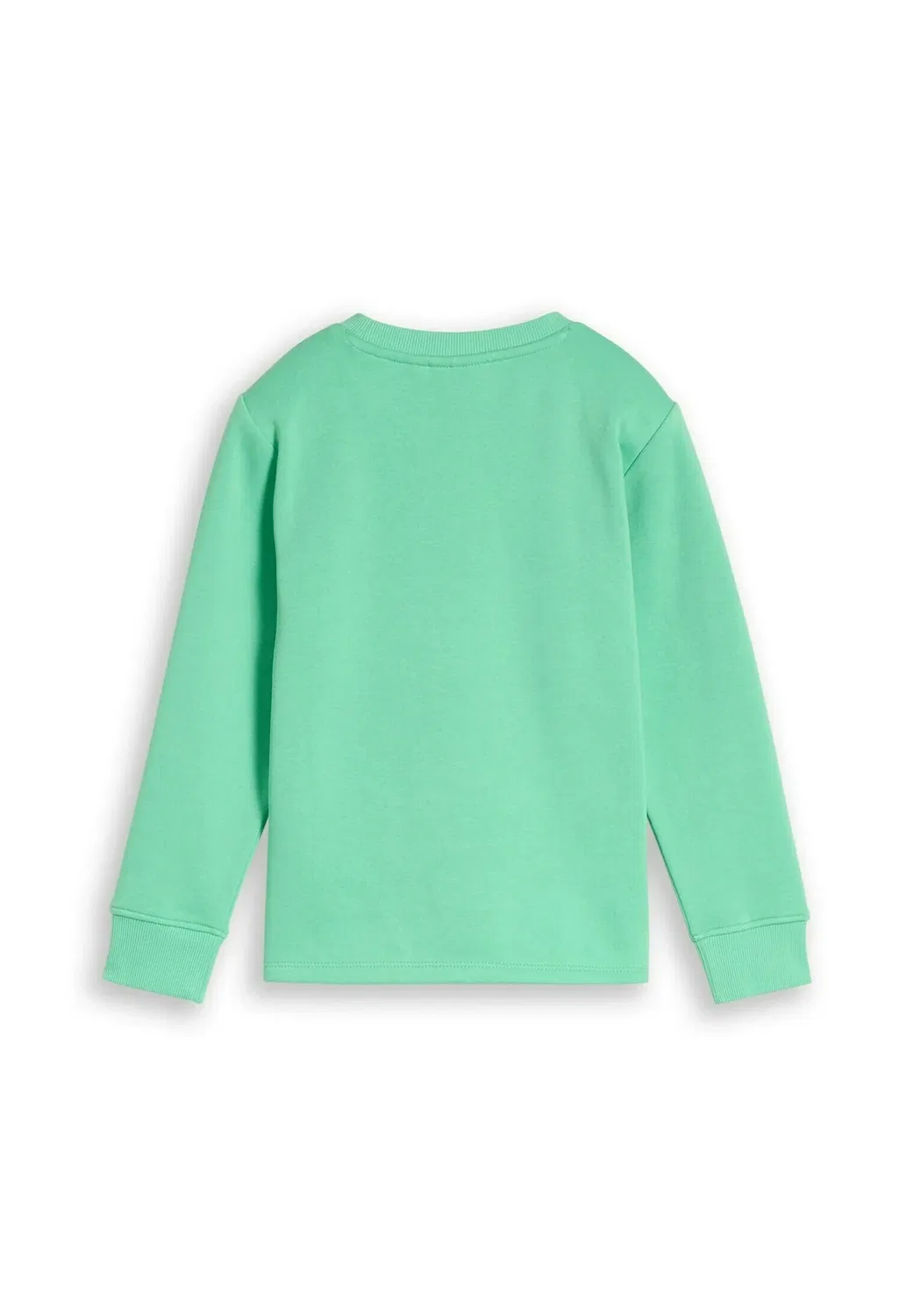 Толстовка Strick & sweatshirts с принтом - толстовка Tom Tailor, Leafy Green — фото 2
