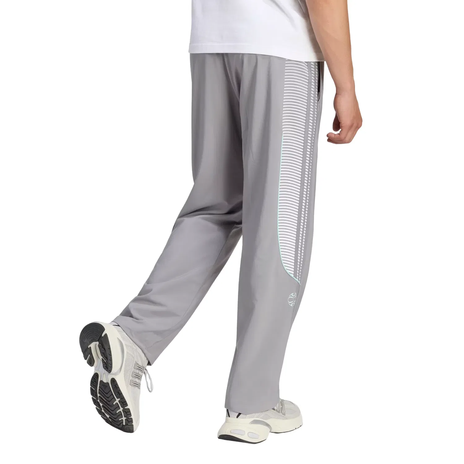 Мужские спортивные штаны с длинным рукавом Adidas x Coca-Cola Teamgeist 26 Trackpant, серый — фото 3