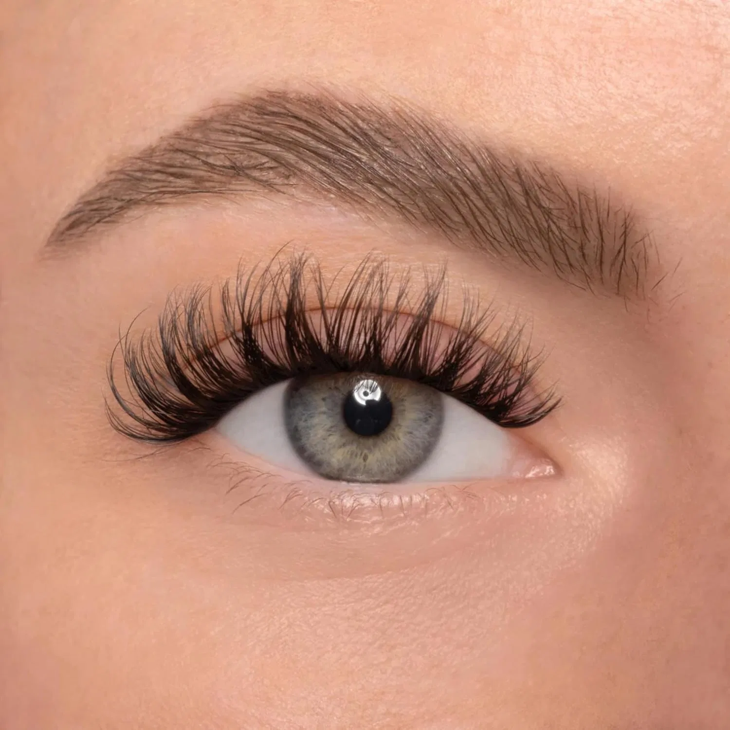 Набор для наращивания ресниц DIY, 5 пар ресниц 12-14 мм, Aylashes, 1 набор, Black Eyelash Glue — фото 2