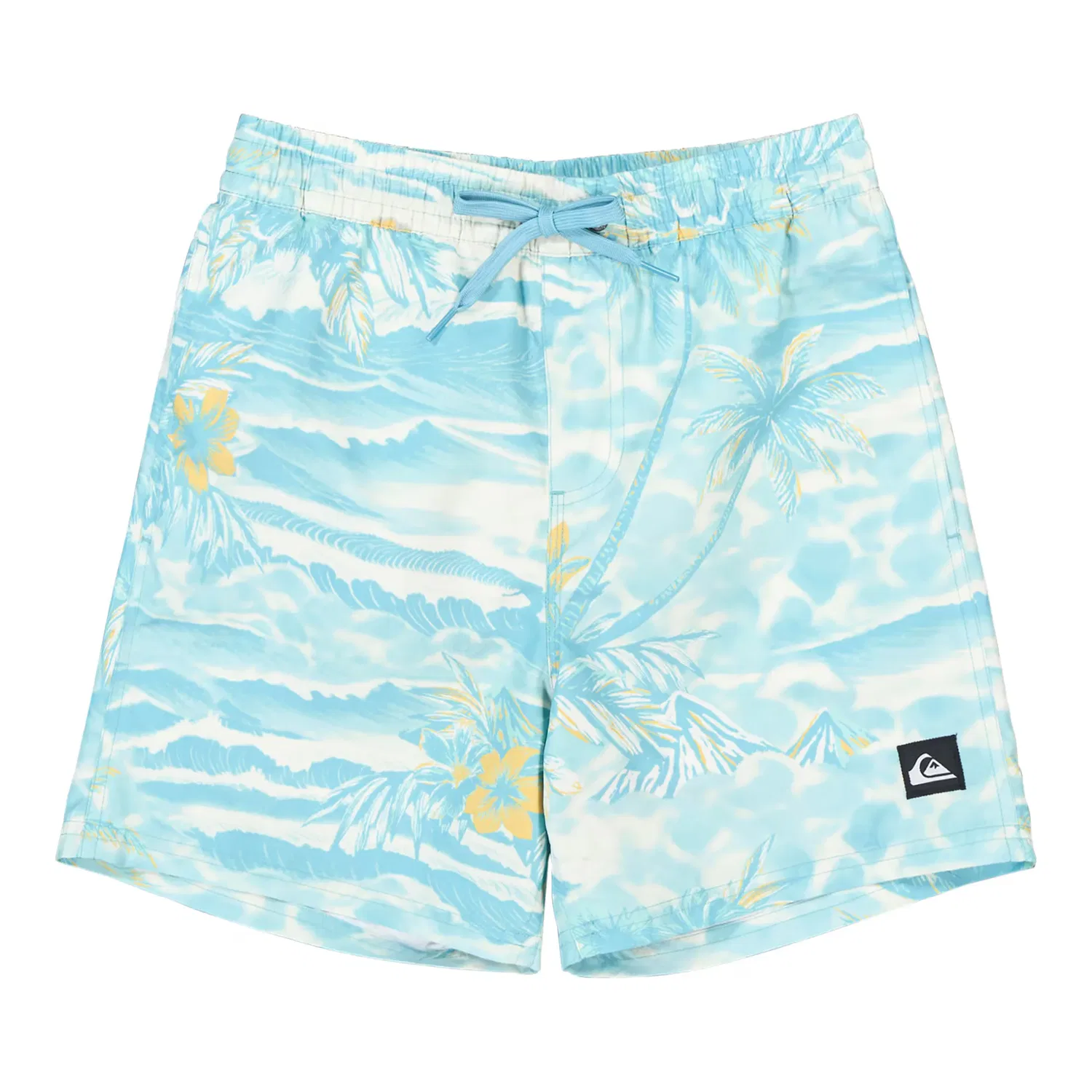 Детские плавки для мальчиков с принтом Everyday Printed Volley Quiksilver, Azul Claro