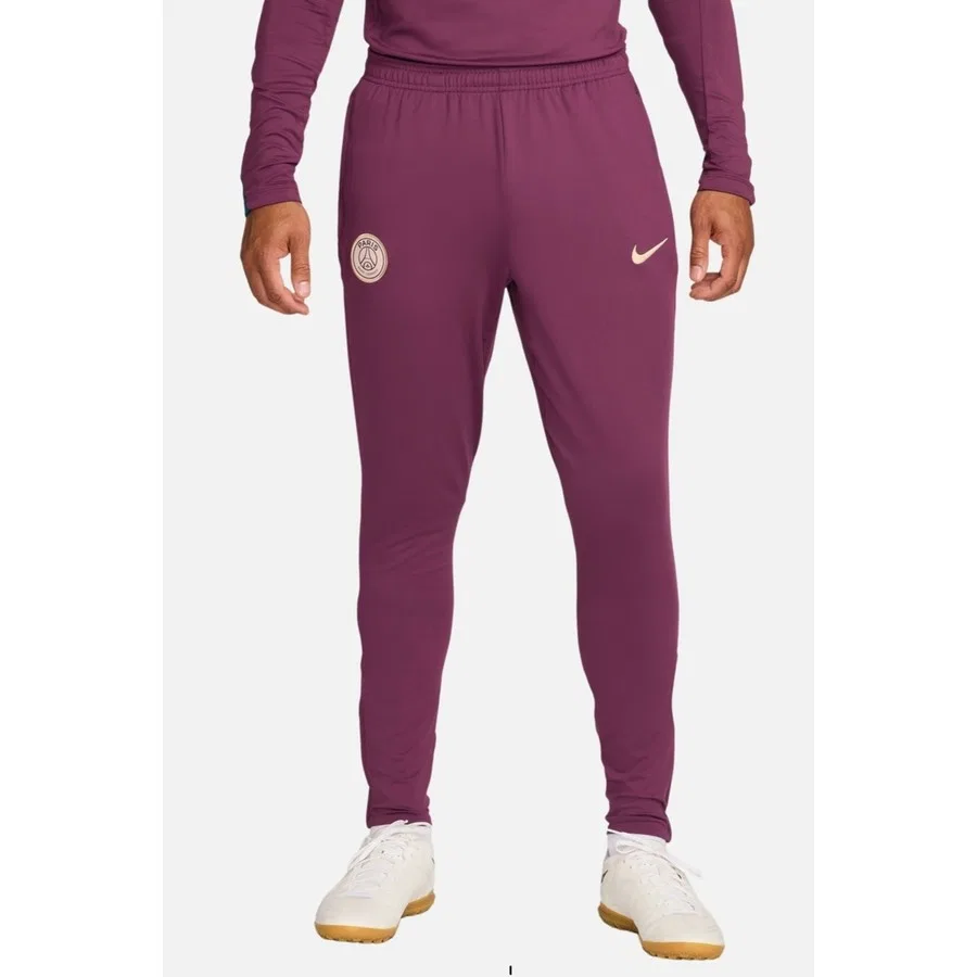 Спортивные брюки с завязкой и молнией Sportswear Paris Saint-Germain Nike, Фиолетовый
