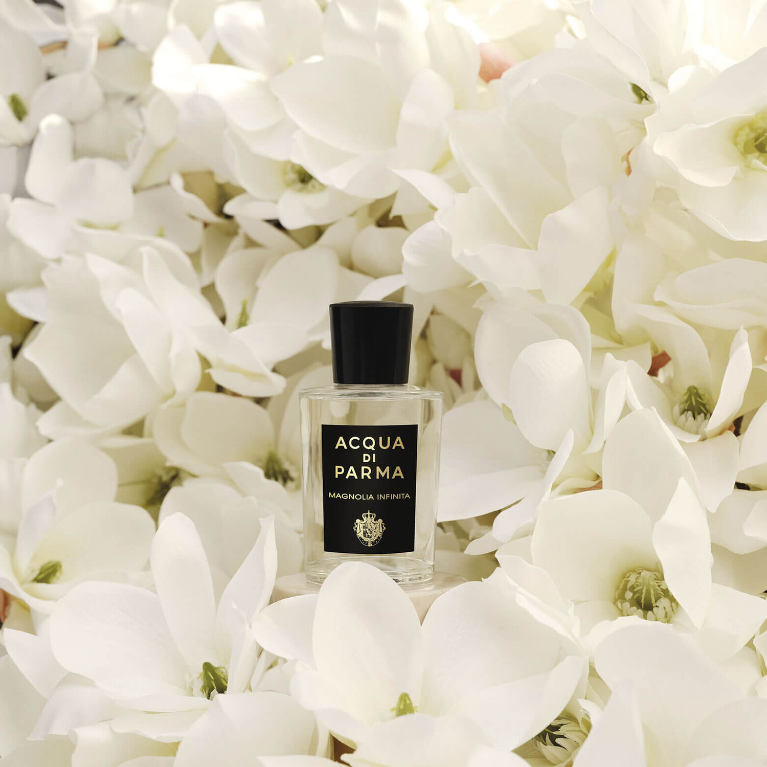 Парфюмерная вода Acqua di Parma  Signatures of the Sun Magnolia Infinita, 100 мл — фото 4