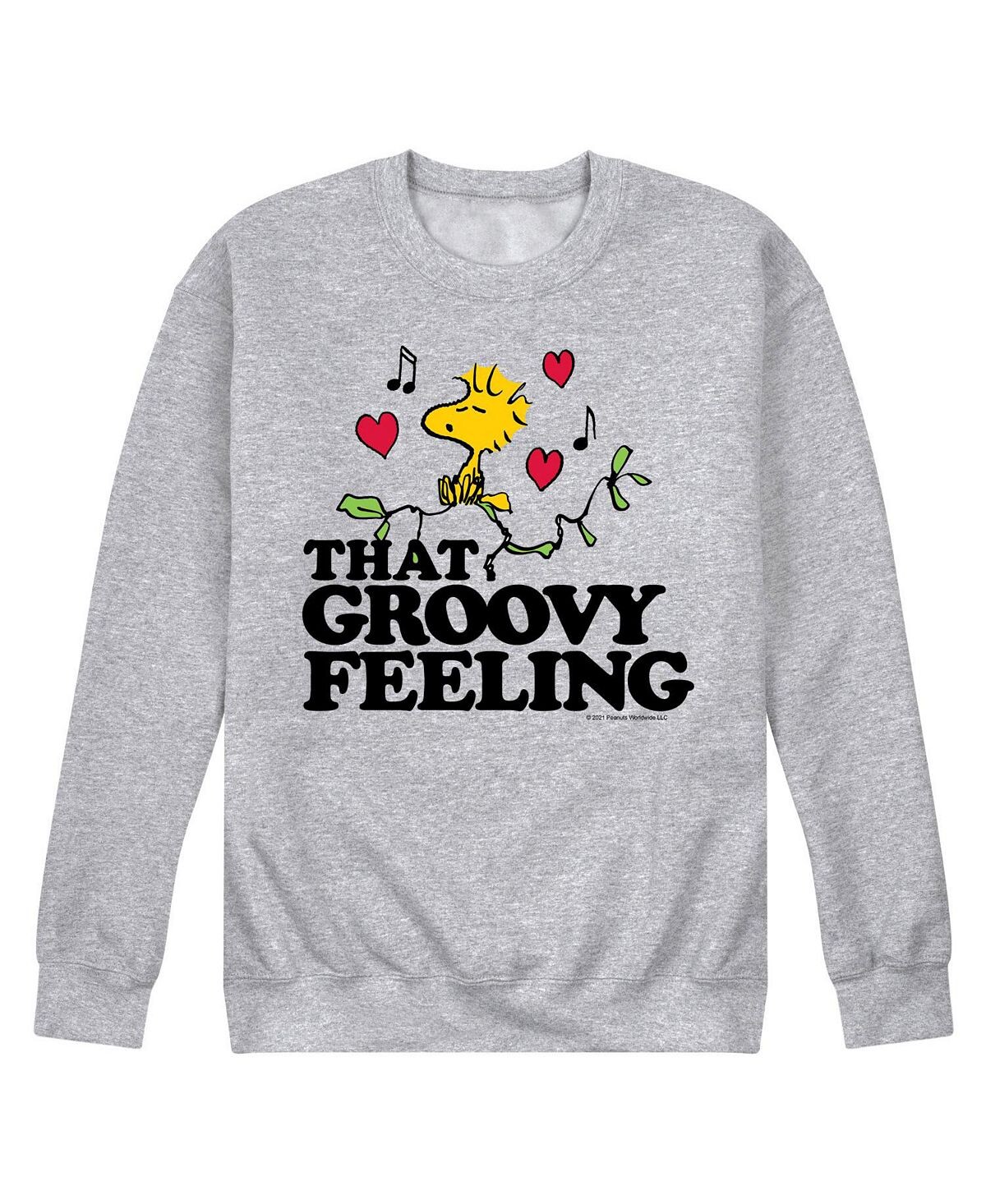 

Мужская флисовая толстовка peanuts that groovy feeling AIRWAVES, серый