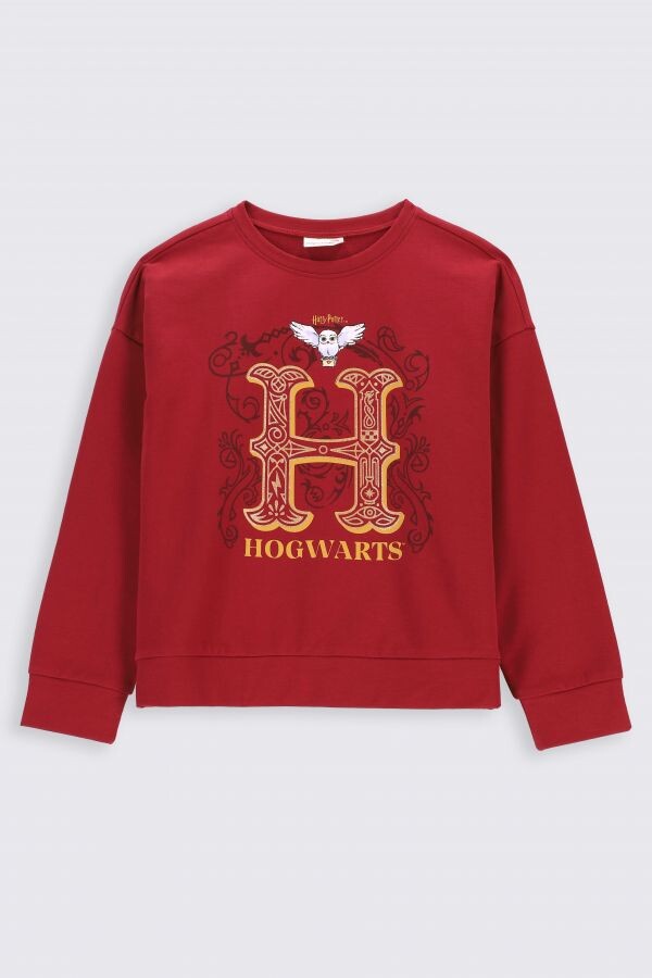 

Толстовка Coccodrillo Harry Potter, темно-бордовый, Красный, Толстовка Coccodrillo Harry Potter, темно-бордовый