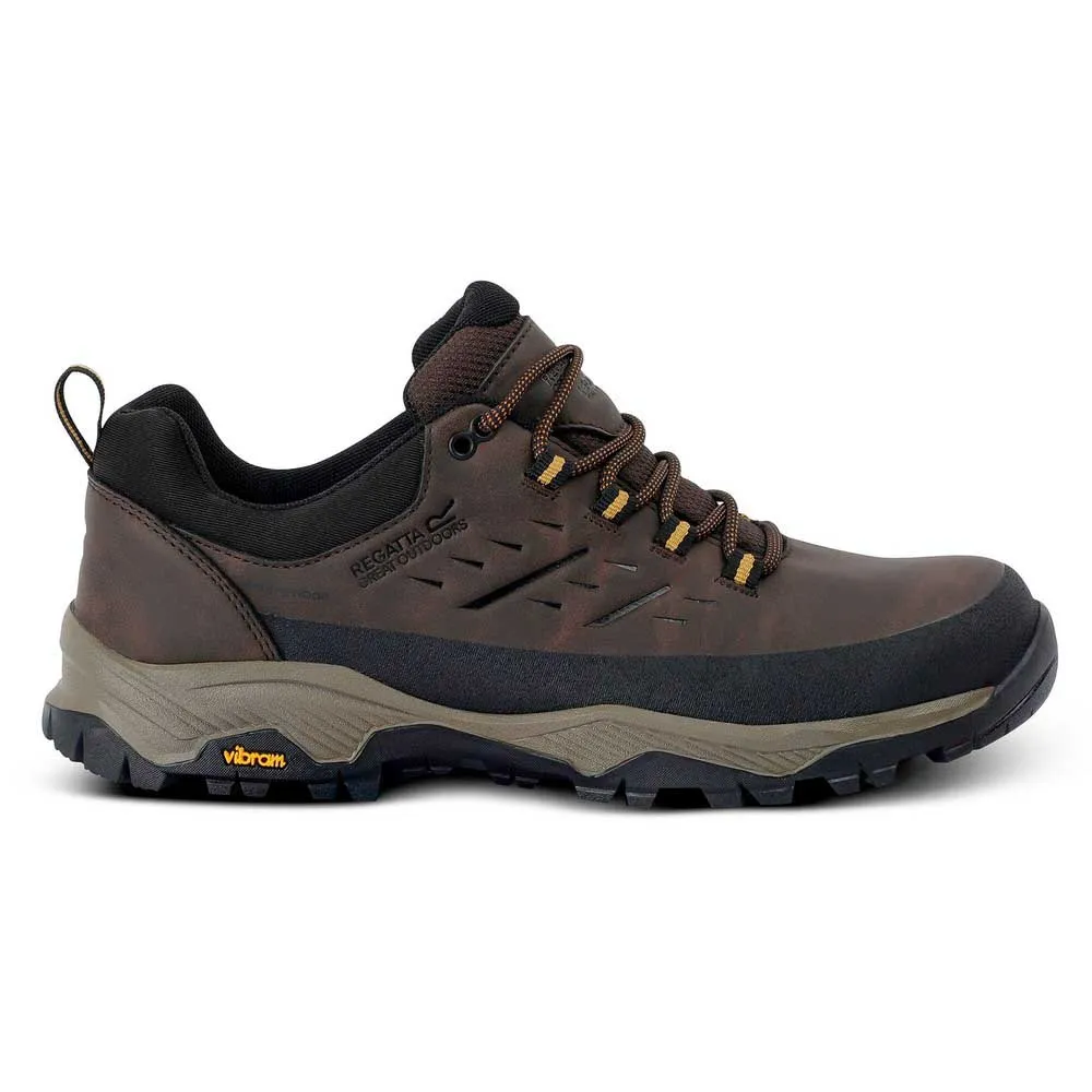 

Походные ботинки Regatta Blake Low, коричневый