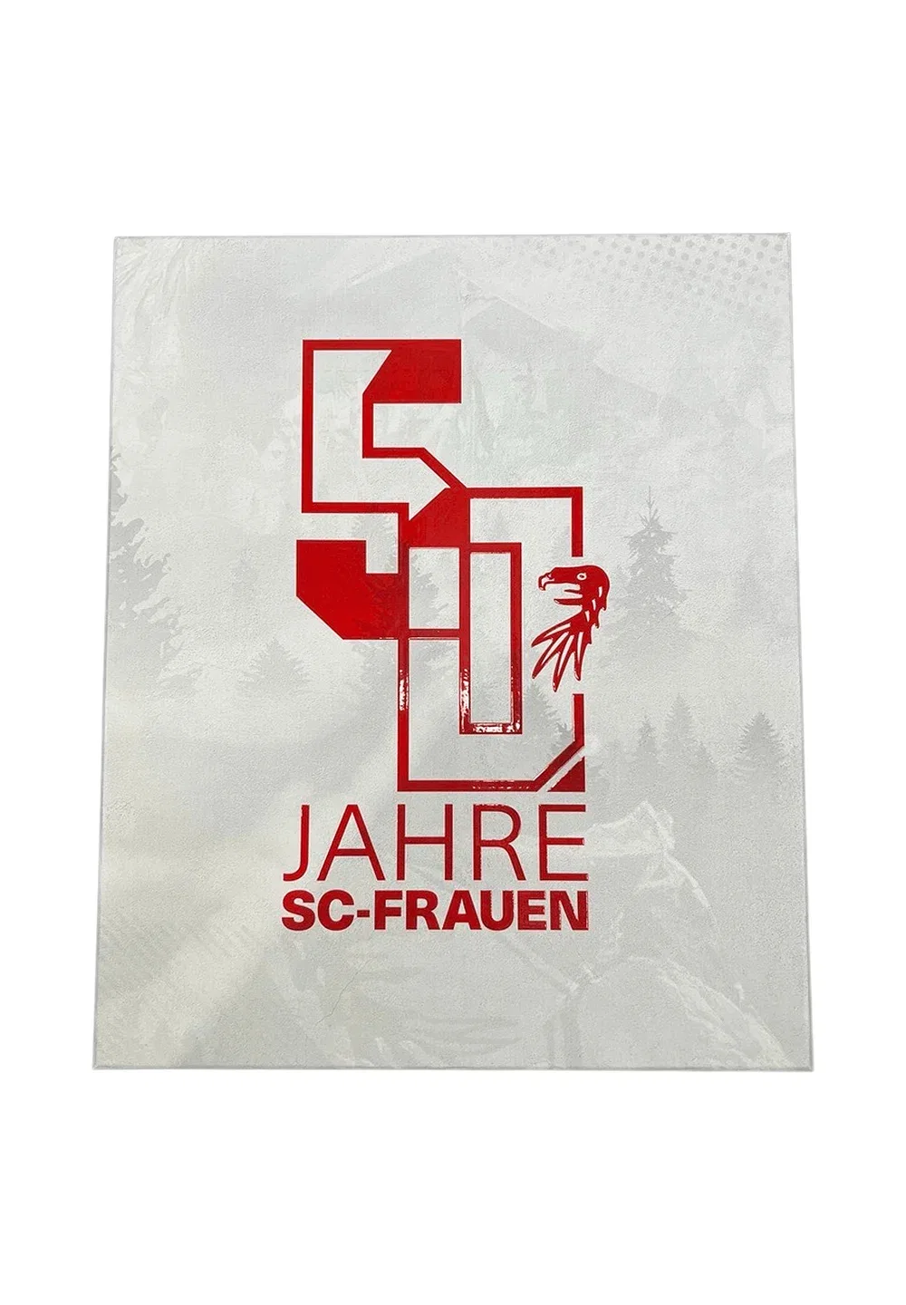 Sc Freiburg Sondertrikot 50 Jahre SC-Frauen Trikot - футбольная майка Nike Performance, Weiss — фото 3