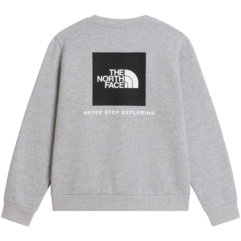 Детский свитшот для девочек с принтом Evolution Box NSE The north face, Grey — фото 4