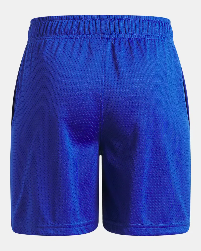 Шорты с длиной по внутреннему шву 12,7 см из легкой дышащей сетки UA Tech Mesh UnderArmour, Royal/White — фото 2