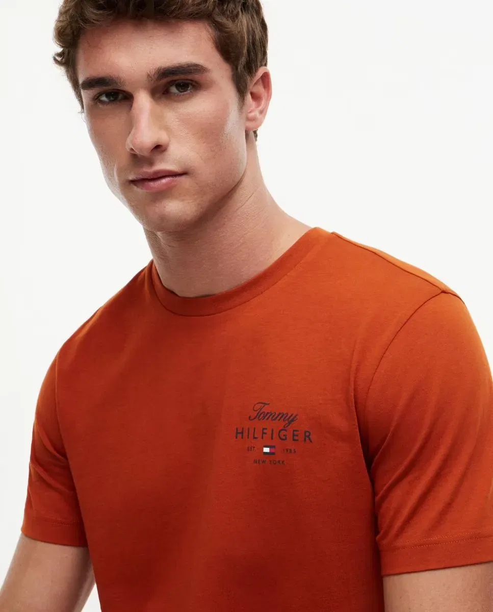 Мужская футболка с коротким рукавом с логотипом Tommy Hilfiger, Teja — фото 3