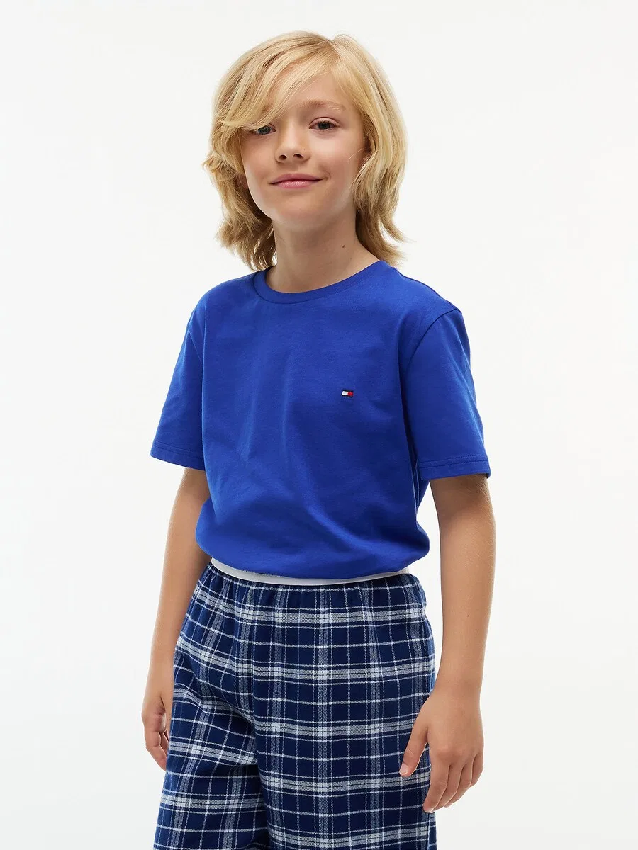 Футболка Tommy Hilfiger Underwear Regular Shirt синего и пастельно-голубого цвета — фото 2