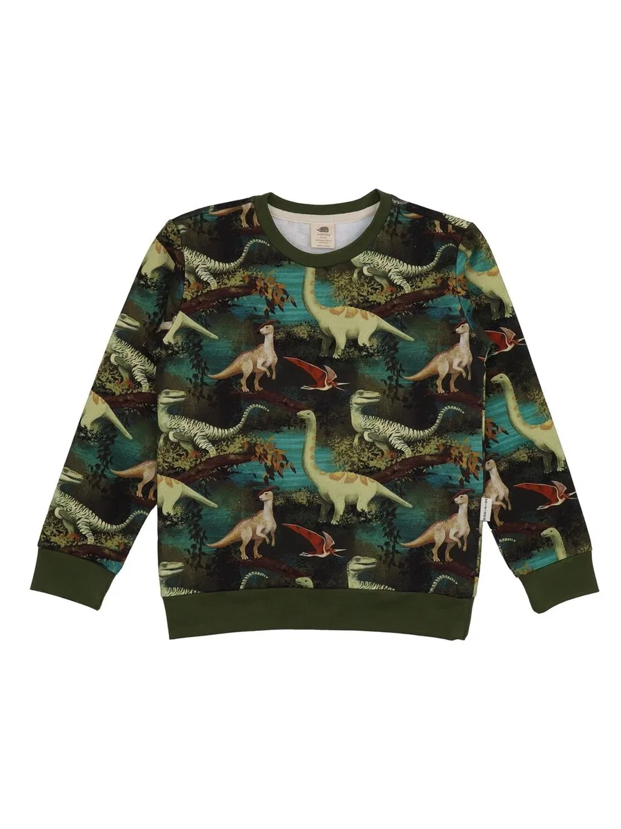 Толстовка Walkiddy 'Walkiddy - Dinasour Jungle-Sweatshirt Sweatshirt' зеленого цвета