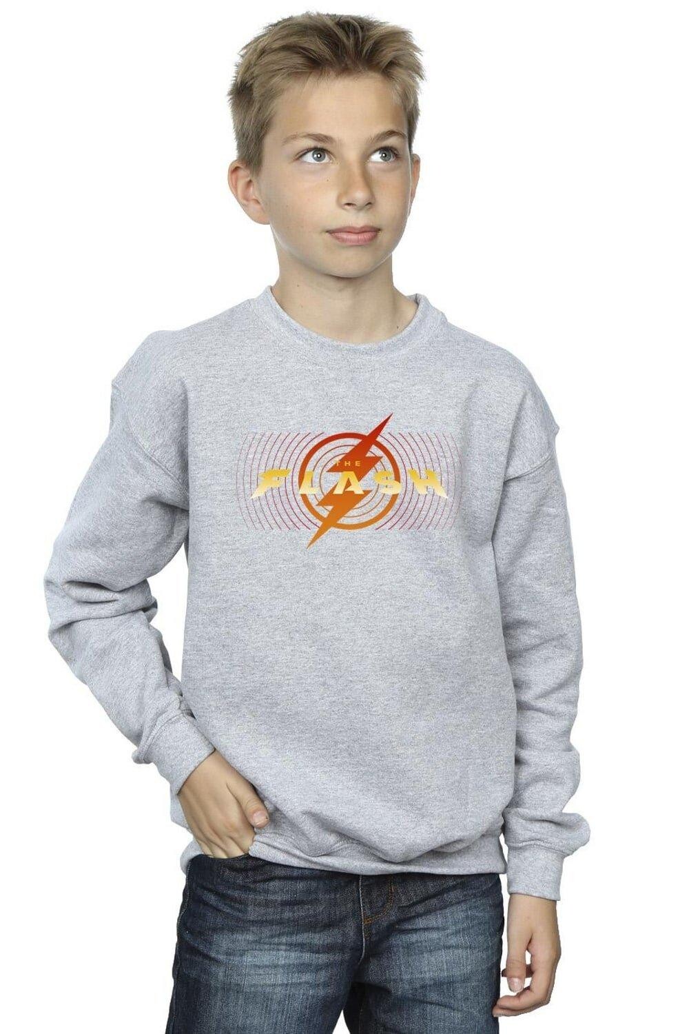 

Толстовка с красной молнией The Flash DC Comics, серый, Красный, Толстовка с красной молнией The Flash DC Comics, серый