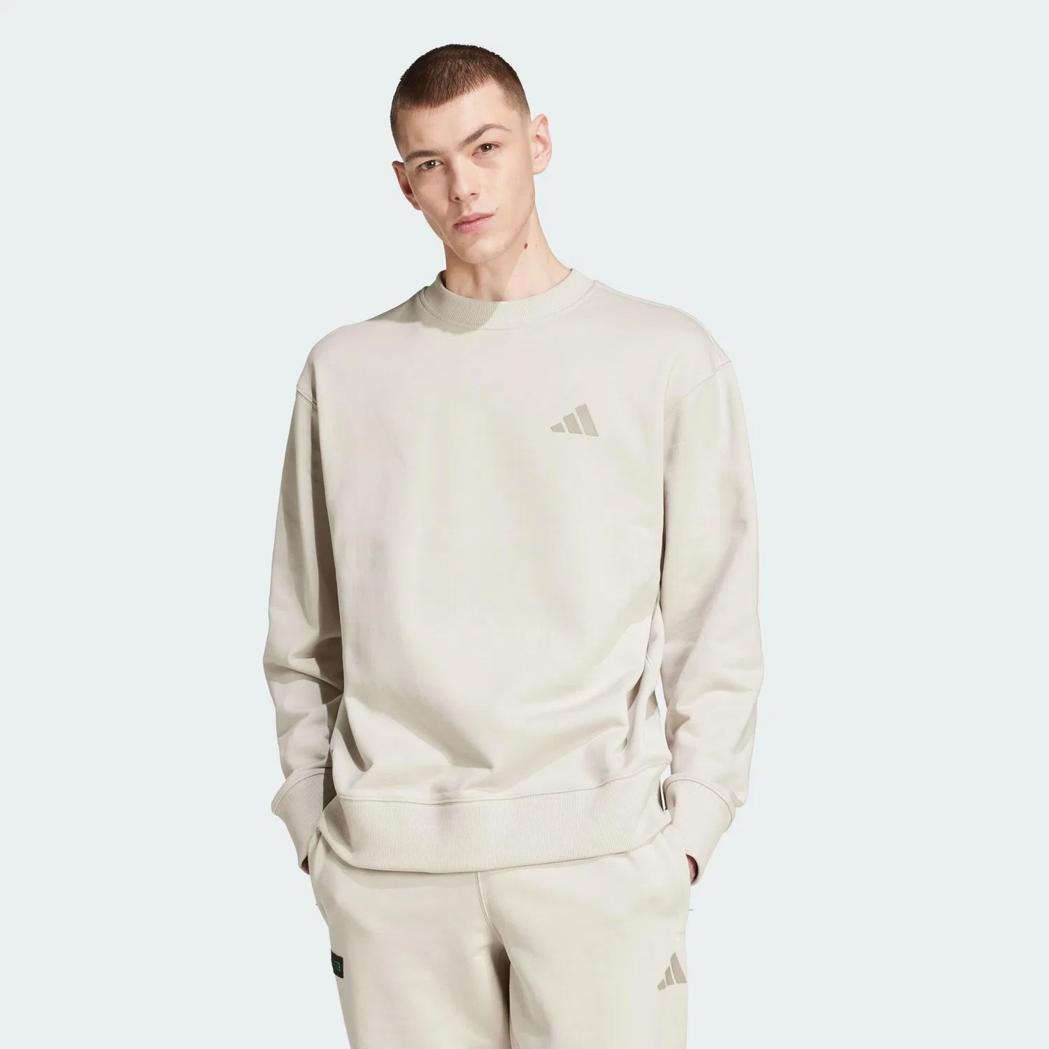 Мужской свитшот с длинным рукавом MERCEDES-AMG PETRONAS FORMULA ONE TEAM PREMIUM SWEATSHIRT Adidas, Beige — фото 2