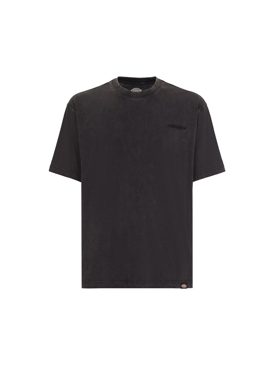 

Футболка DICKIES Shirt PLENTYWOOD TEE SS, черный