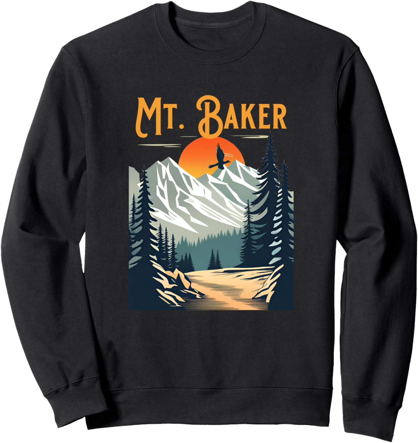 

Винтажная сувенирная походная толстовка Baker Mt. Baker Washington Hiking Clothes Co., черный