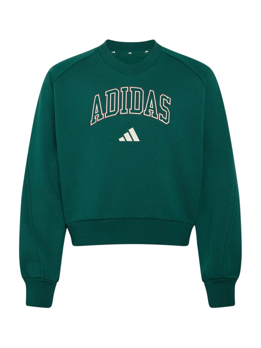 Спортивная толстовка ADIDAS SPORTSWEAR зеленого цвета