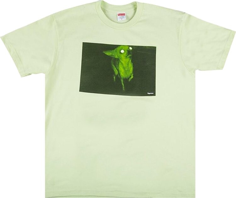 

Футболка Supreme Chris Cunningham Chihuahua Tee 'Pale Mint', зеленый