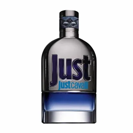Туалетная вода Roberto Cavalli Just Cavalli Man, 30 мл