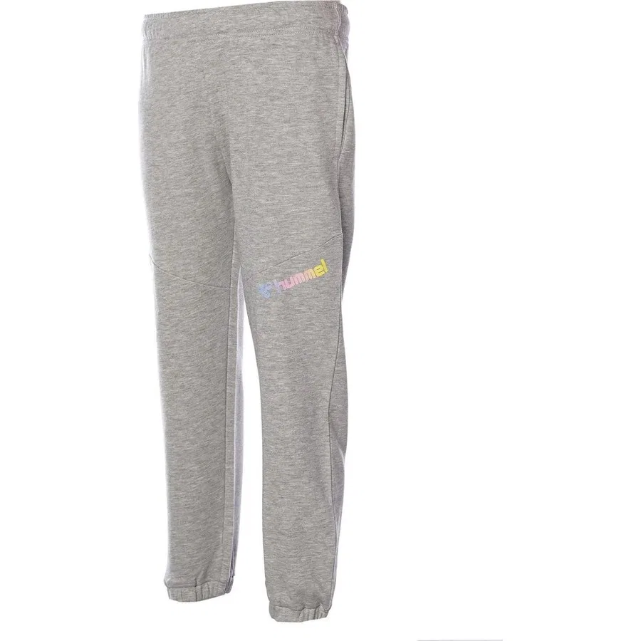 Детские спортивные штаны jogger с принтом Hmljazz Pants, Hummel, Серый