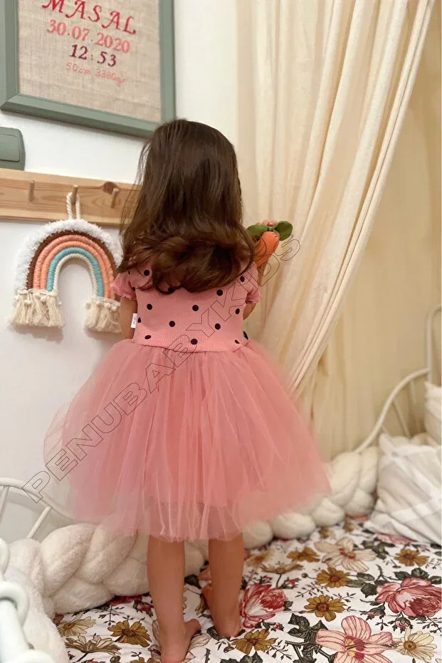 Детское платье для девочек с принтом Emily Penu Baby Kids, Dried Rose — фото 3
