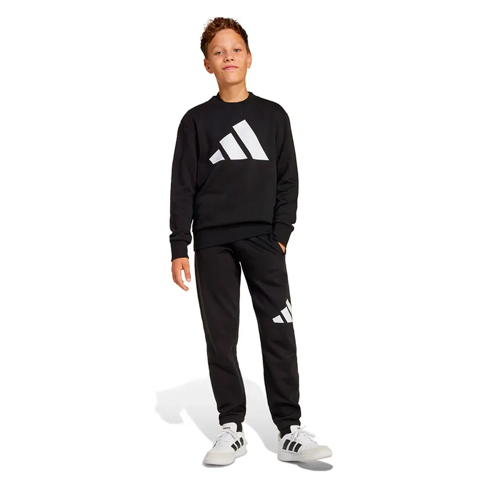 Комплект спортивных штанов Adidas Essentials Joggers, черный