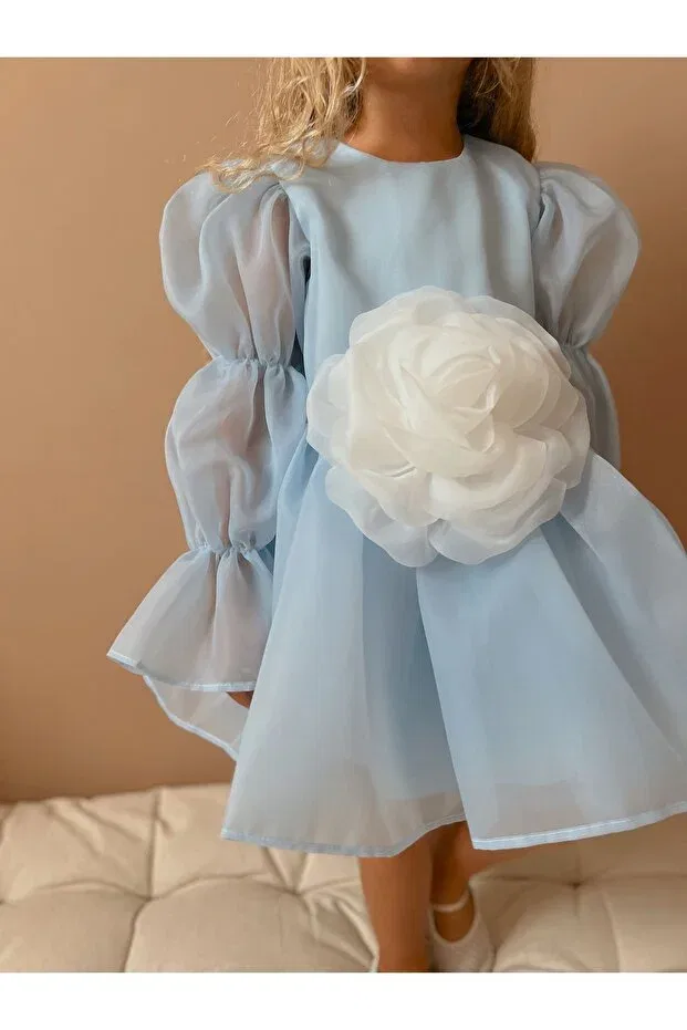 Детское платье для девочек с принтом роз Elsa blue chiffon rose Linola Baby Kids, Elsa Blue — фото 3