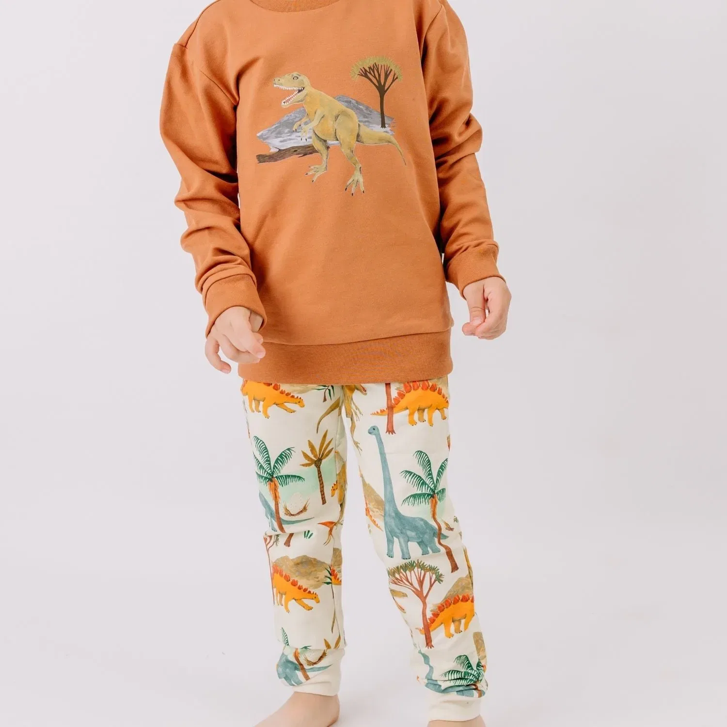Штаны спортивные с принтом Dinasaur World-Jogger Walkiddy, зеленый — фото 2