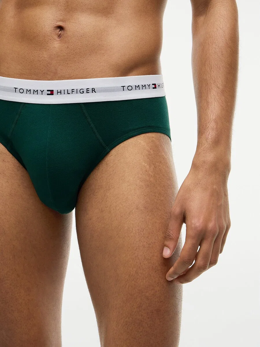 Трусики TOMMY HILFIGER 'Repeat' в темно-синем, темно-зеленом, темно-красном и белом цветах — фото 3