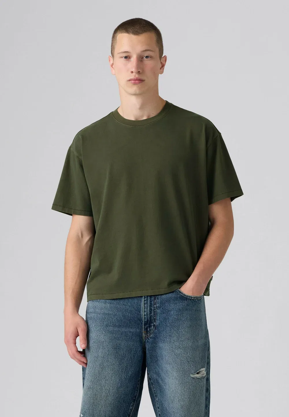 Простая футболка Levi'S, Sheen Wash Nightfall Navy - Greens