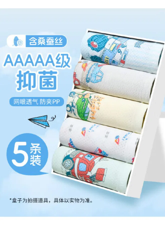 Трусы-боксеры тонкие дышащие комплект из 5 штук Fenton, голубой
