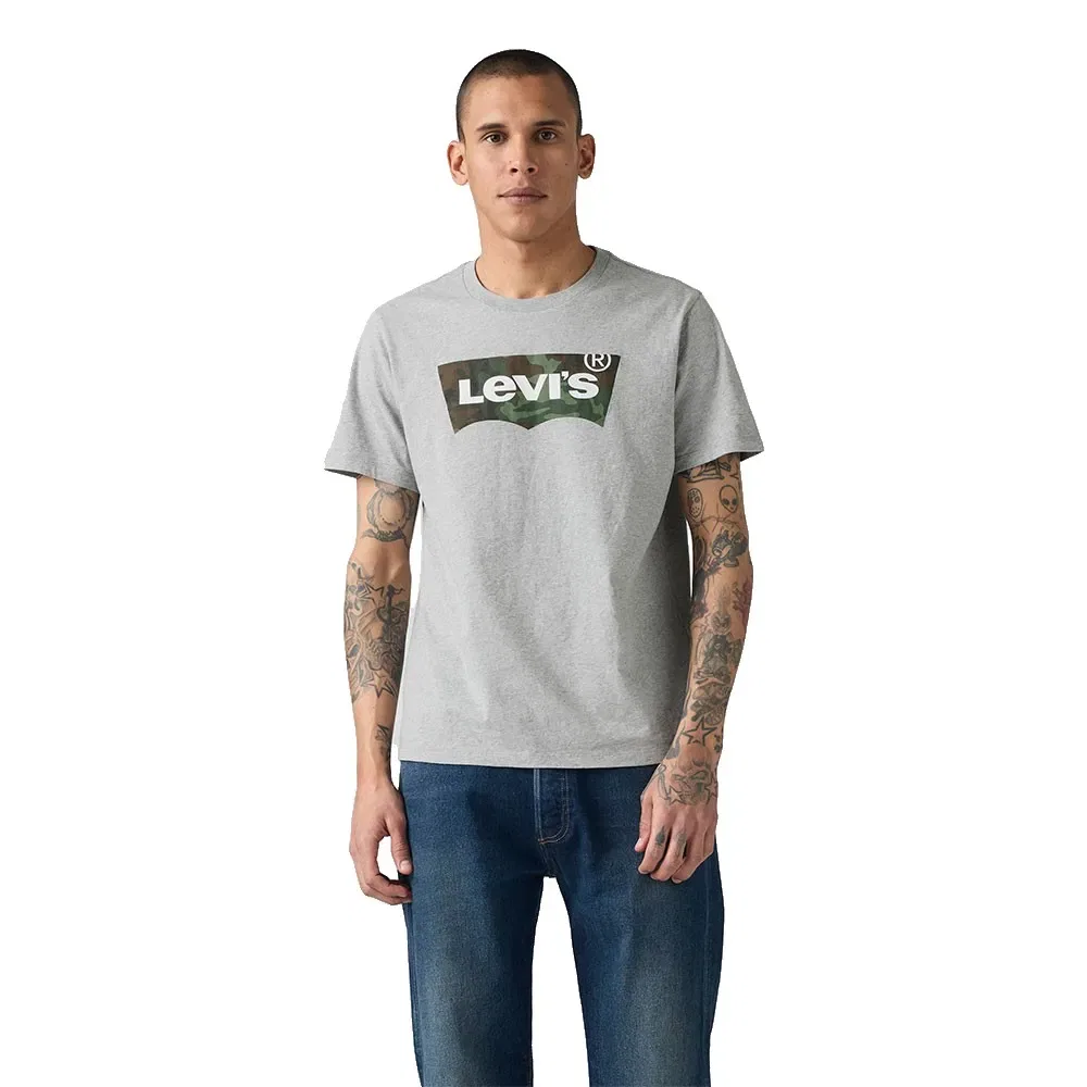 Мужская футболка с принтом 22491 Levi's, Grey
