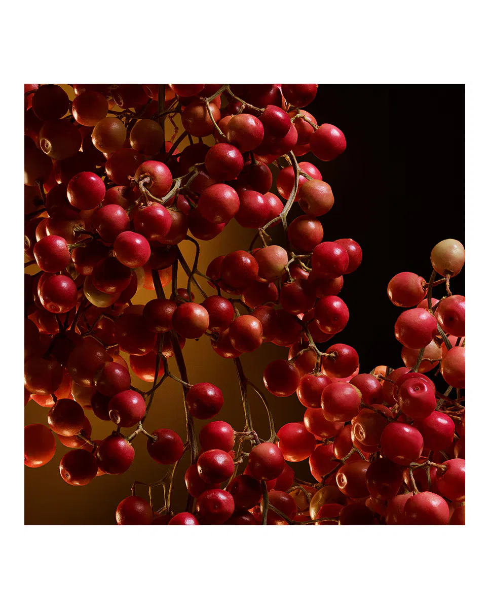 Парфюмерная вода, 30 мл, Intense One, Dolce & Gabbana — фото 4
