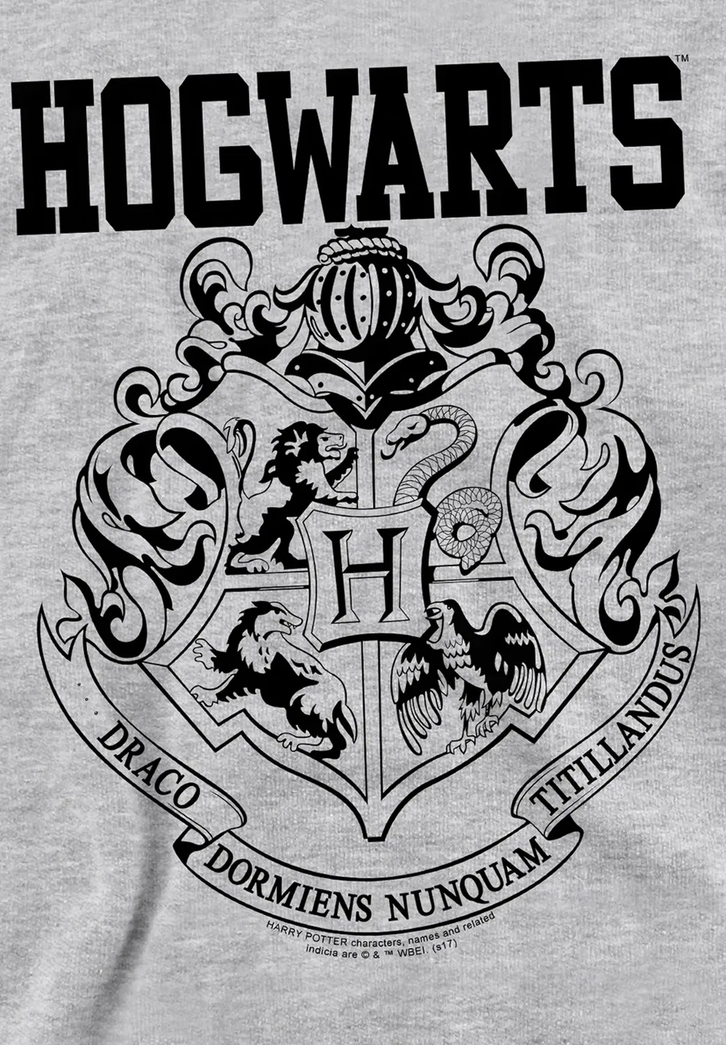 Спортивная толстовка унисекс с символикой Хогвартса Harry Potter, Mottled Light Grey — фото 3