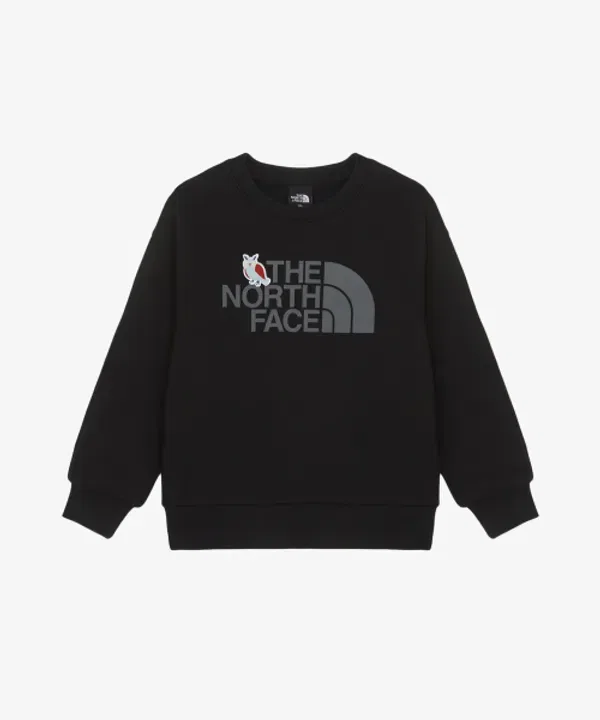 Свитшот детский анимационный The North Face Kids, черный