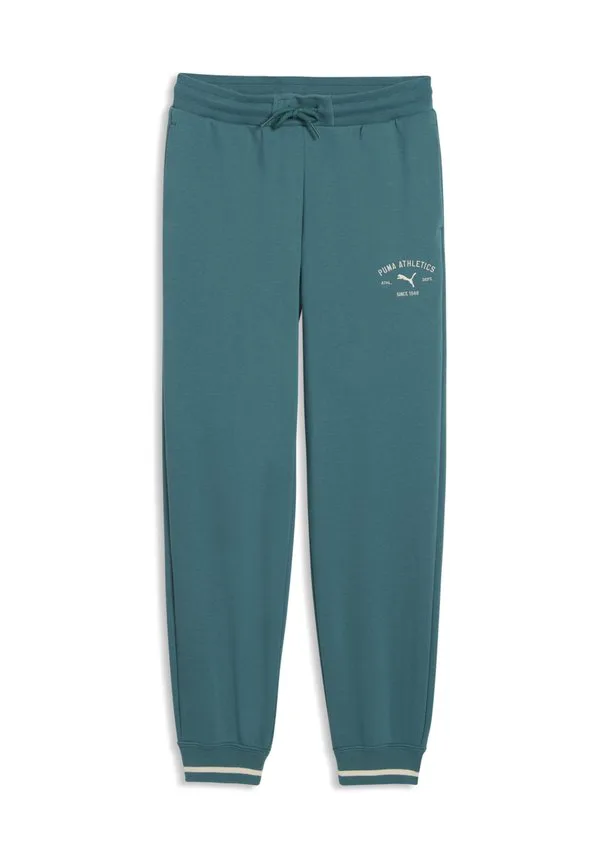 Спортивные штаны с графическим рисунком на тему "класс" Puma, Emerald Ice — фото 4