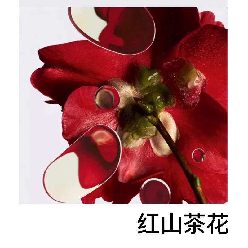 Набор миниатюрных кремов для лица CHANEL No.1 Red Camellia, 5 мл x 4, Red Camellia — фото 4
