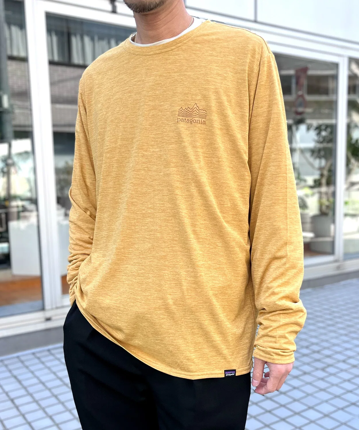 Мужская футболка с длинным рукавомс графическим принтом Cap Cool Daily Graphic Shirt patagonia, Camel — фото 3
