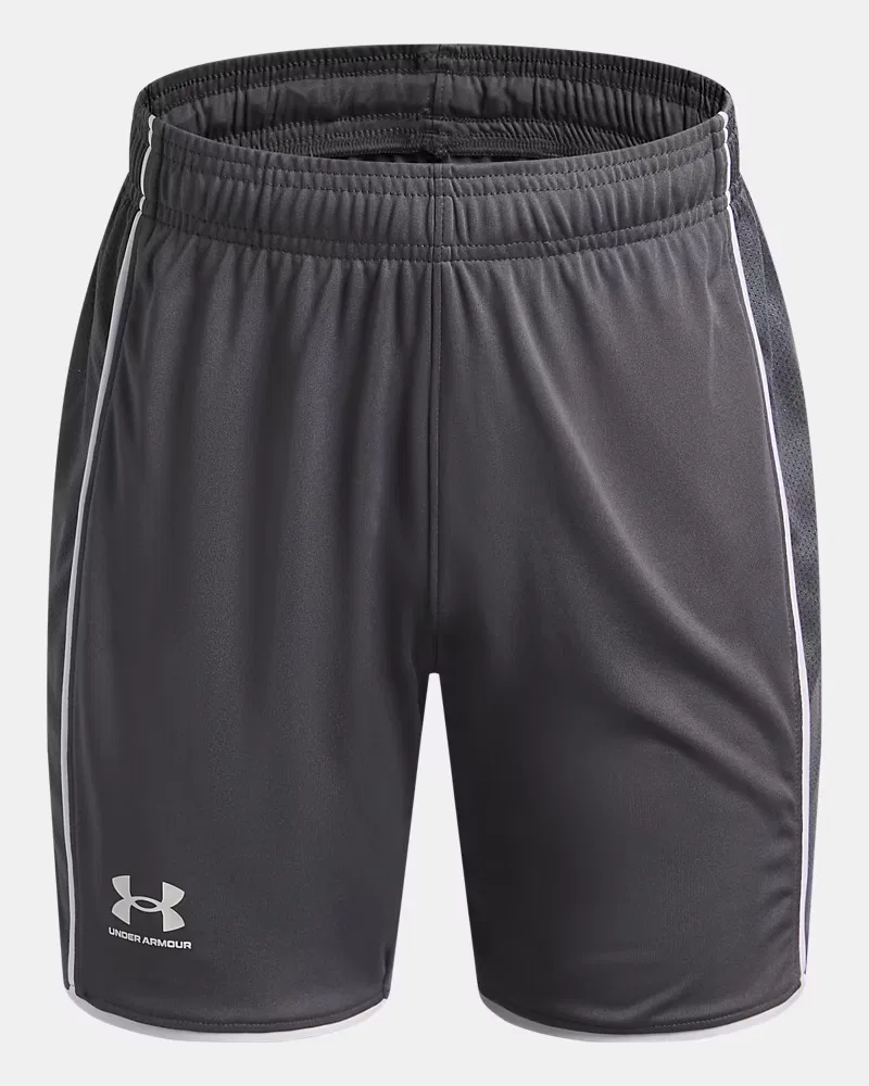Шорты 15 см быстросохнущие из полиэстера UA Challenger Train UnderArmour, Castlerock/White