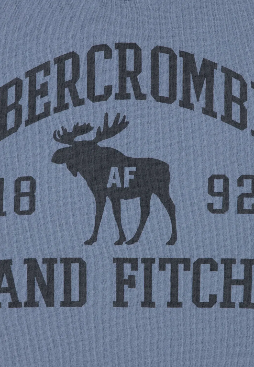 Футболка с принтом "Moose lockup" Abercrombie & Fitch, Flint Stone — фото 3