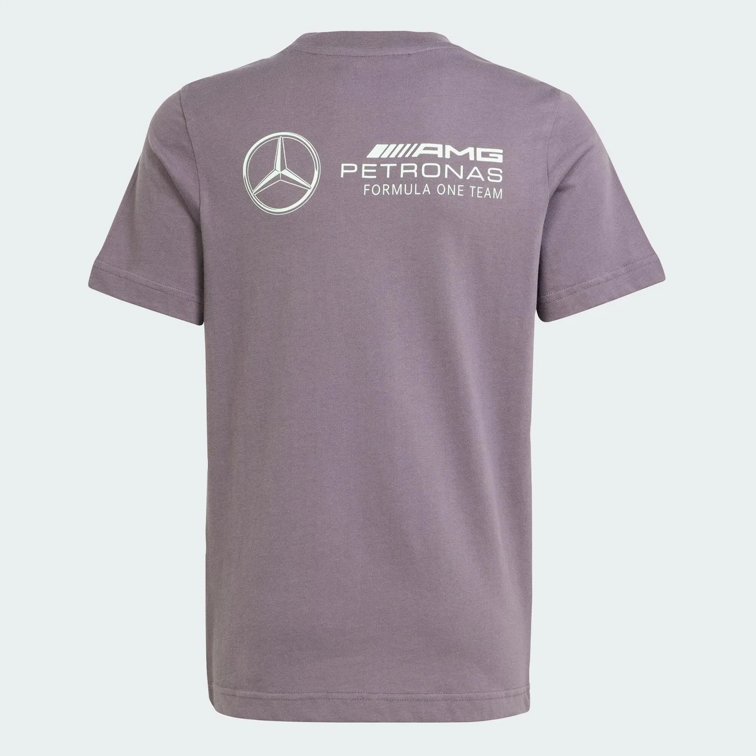 Детская футболка с принтом Mercedes-AMG Petronas Formula One Team Adidas, Grauviolett Grun — фото 3