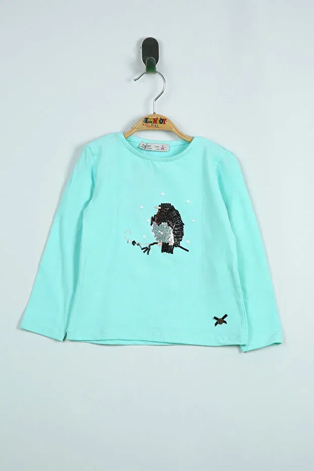 Детские свитшот для девочек с вышивкой Owl Toontoy, Mint Green