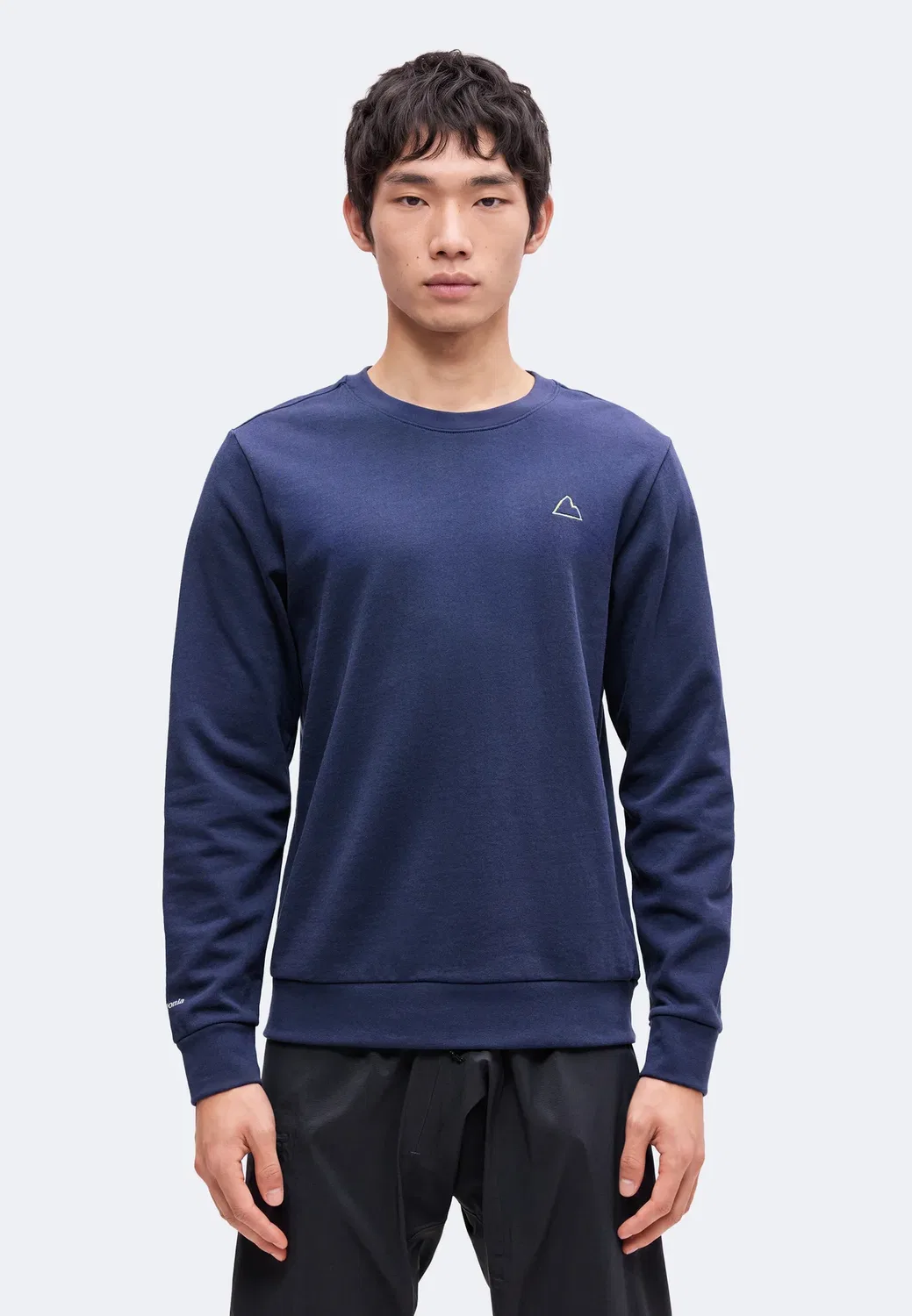 Толстовка с надписью "Fitz roy massif daily crew" Patagonia, New Navy