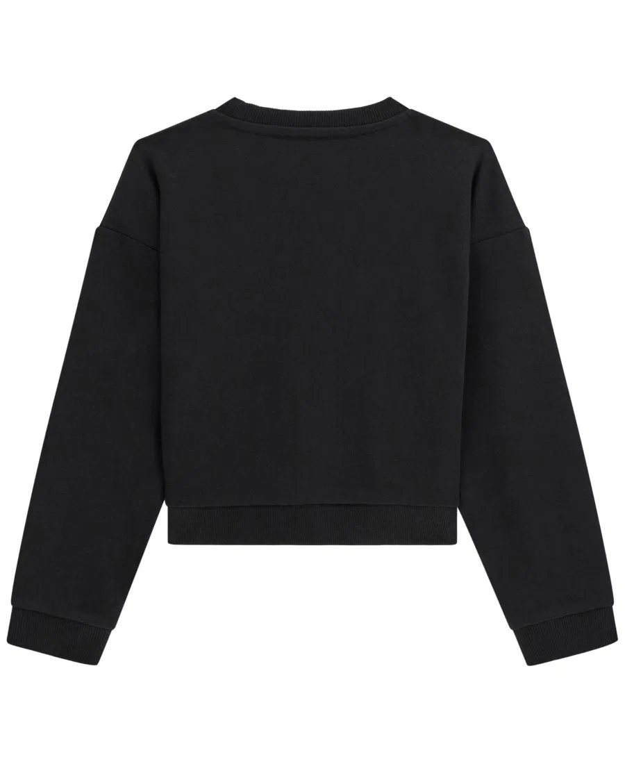 Свитшот с длинным рукавом с блестящим логотипом GUESS, Black — фото 2