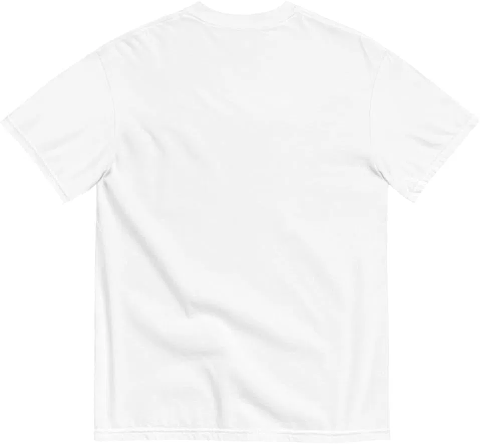 Мужская футболка тяжеловесная Venezuela Shirt, White — фото 2