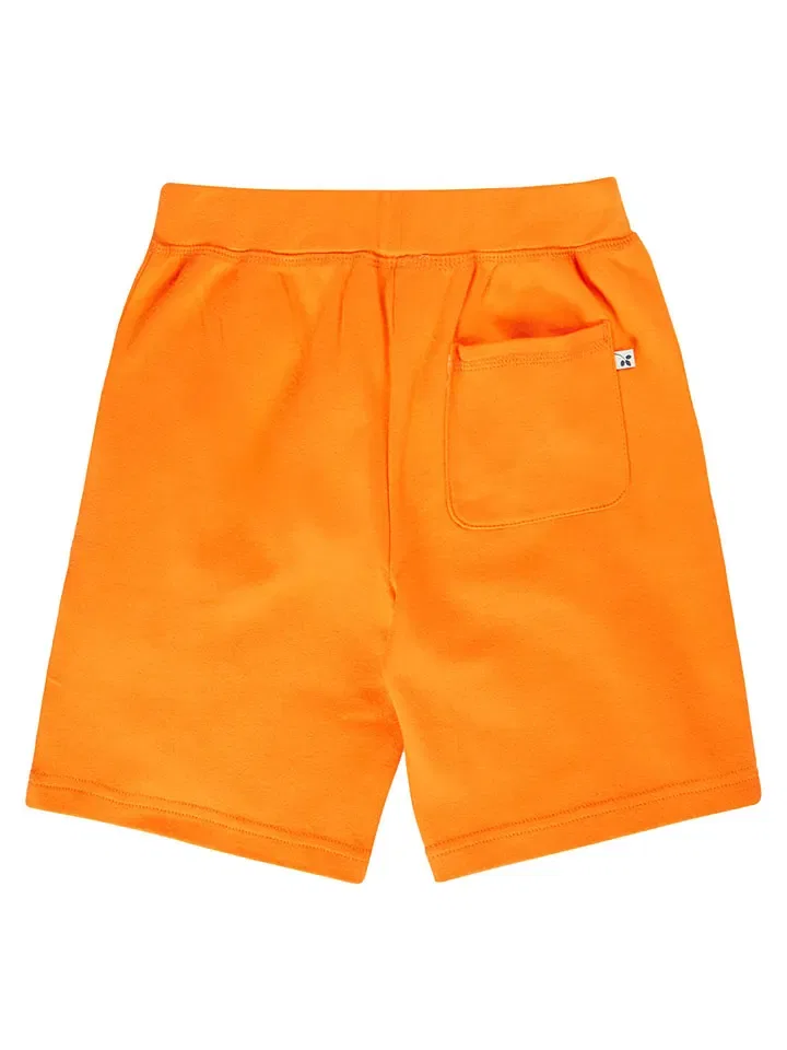 Шорты оранжевые Birch Frugi, оранжевый — фото 3