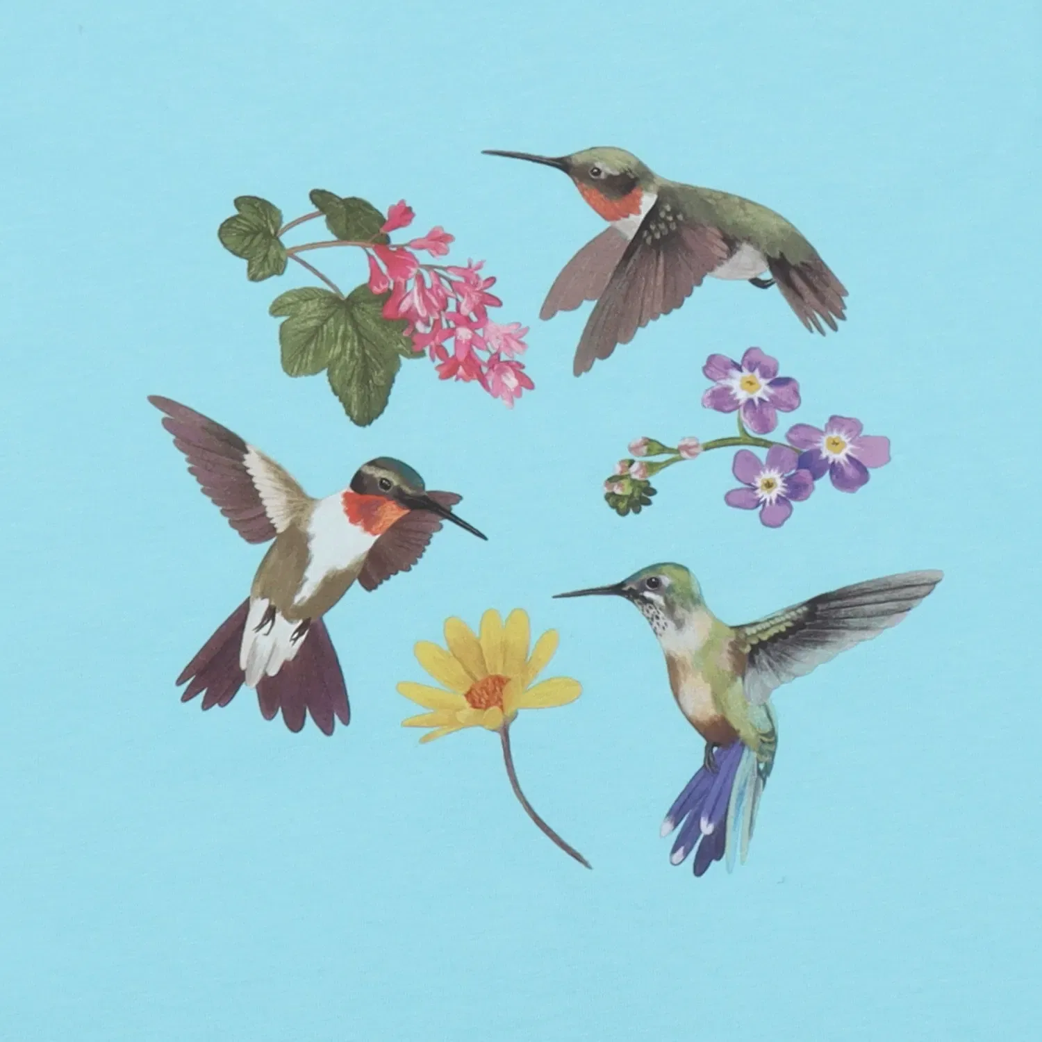 Футболка с принтом Hummingbirds Around Flowers Walkiddy, разноцветный — фото 2