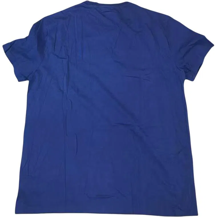 Мужская футболка с круглым вырезом, синяя, Polo Ralph Lauren, Blue — фото 3