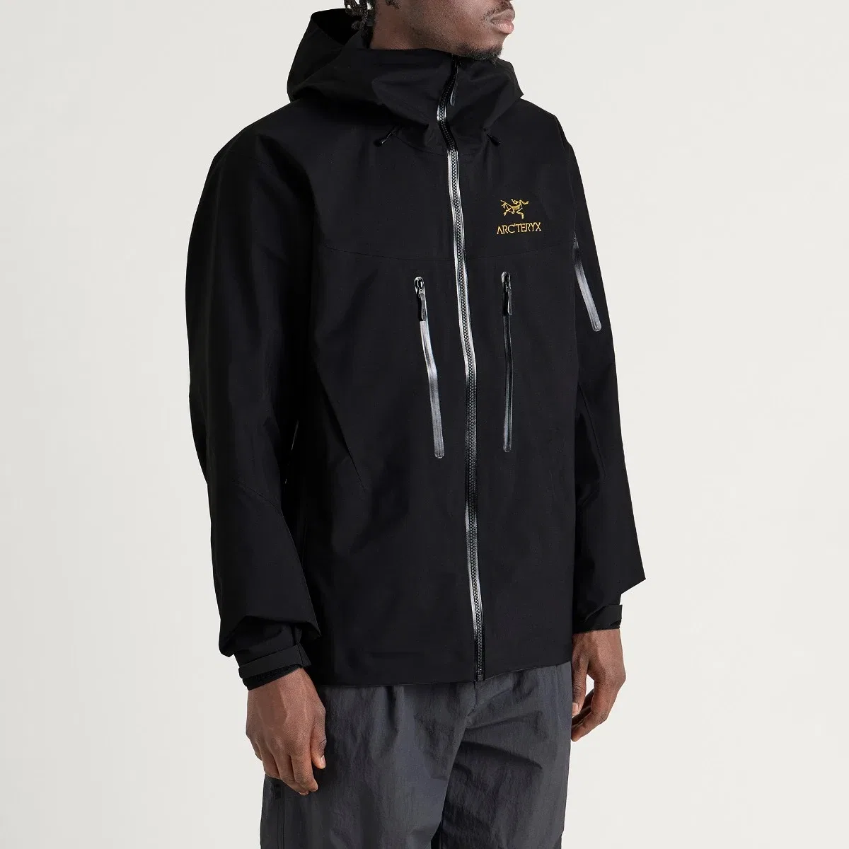 Мужская альпинистская куртка Alpha SV Gore-Tex Pro Arcteryx, 24k Black — фото 2
