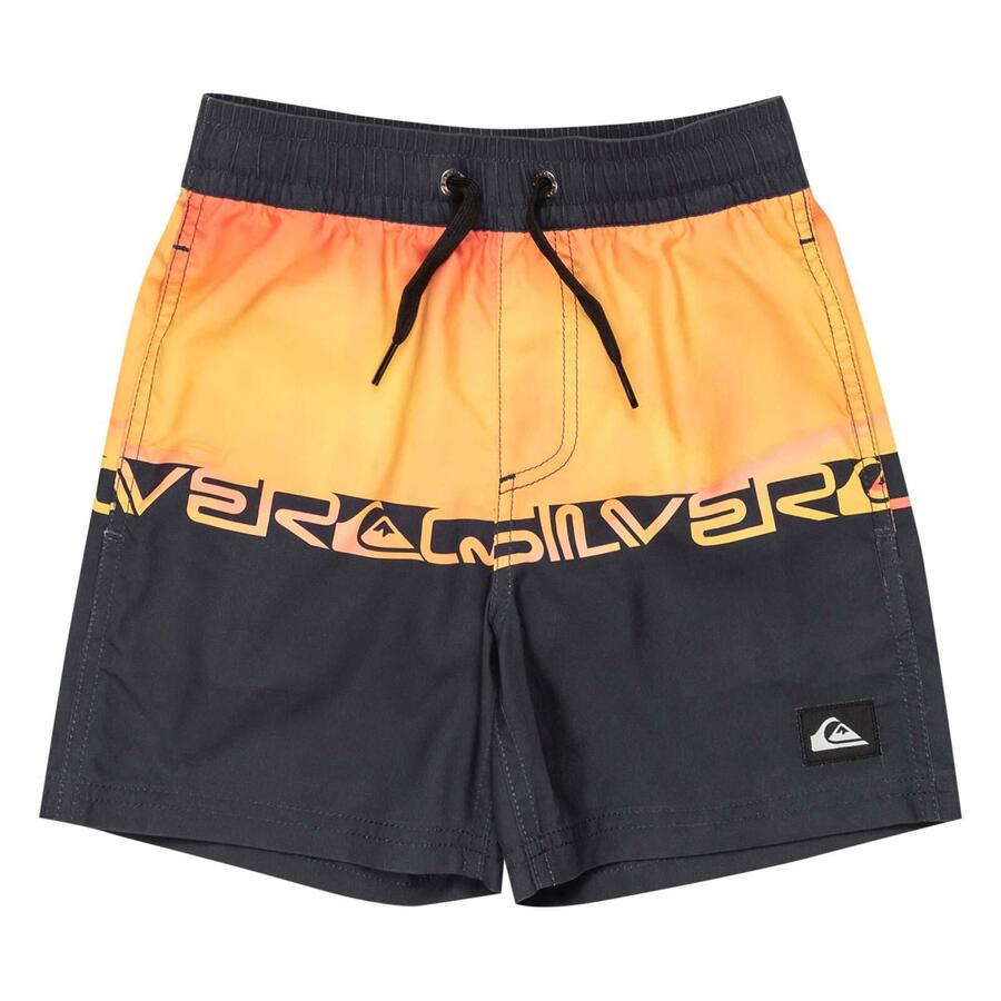 

Детские плавки Quiksilver Everyday Straight Volley 12 дюймов