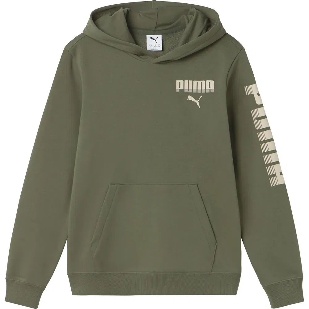 Детское худи для мальчиков Puma Essential Graphic, Green